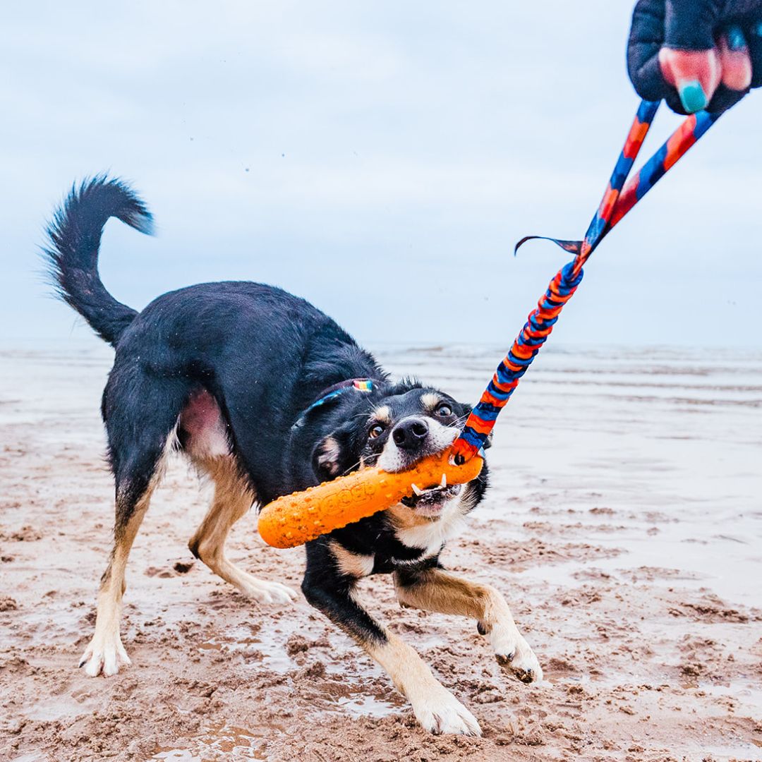 Waterproof Floating Dog Bumper Toy product image 4