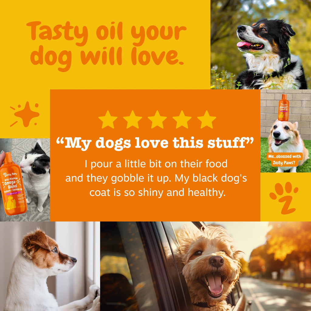 Omega-3 Fish Oil for Dogs and Cats product image 7