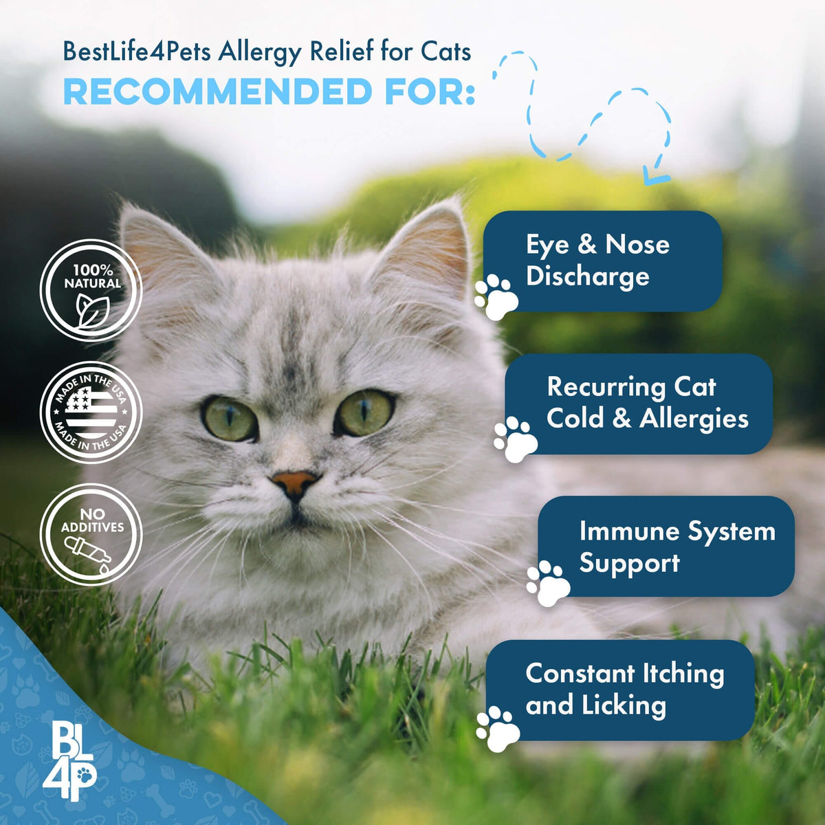 Cat Allergy and Immune Support Tablets product image 7