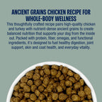 Ancient Grains Chicken Dry Dog Food product image 7