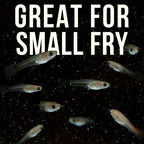 Small Fish and Shrimp Feed product image 7