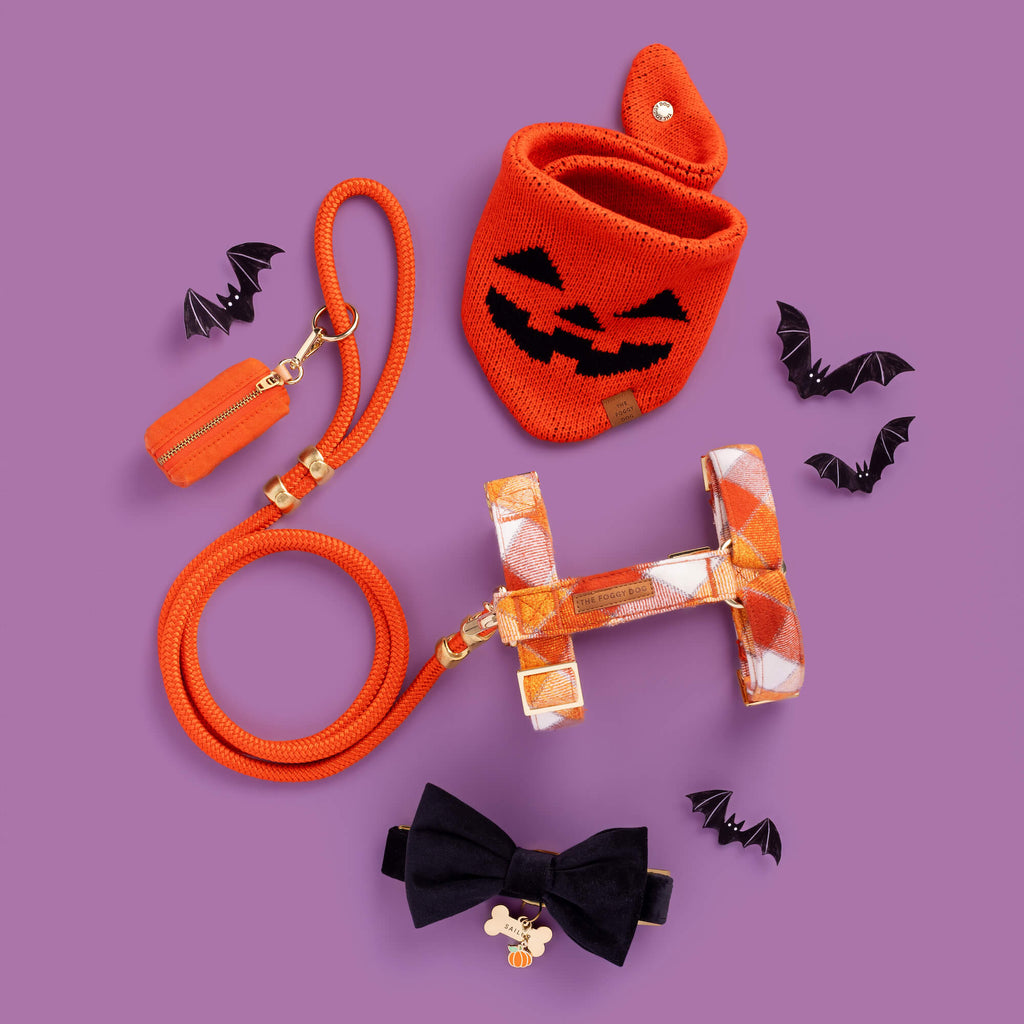 Jack-o’-Lantern Knit Dog Bandana product image 7