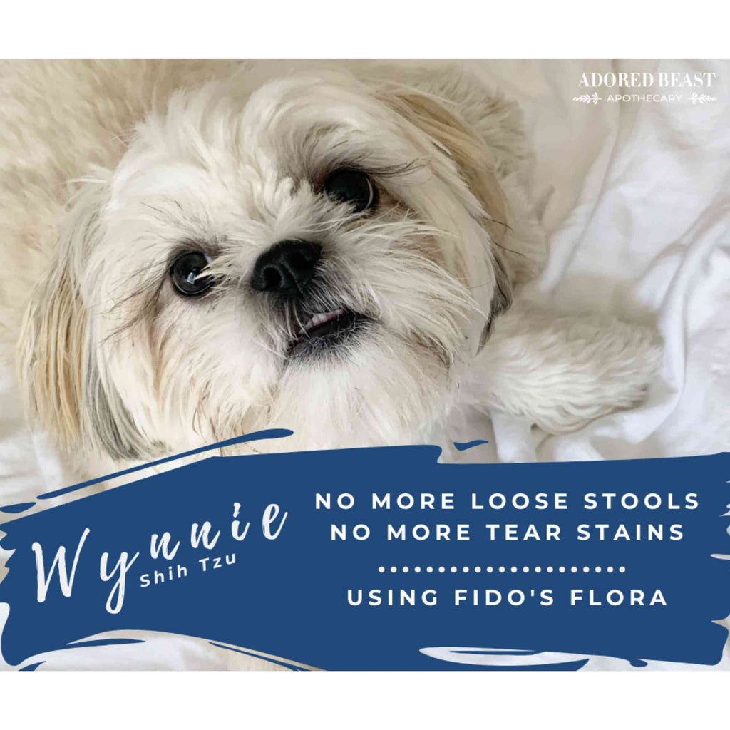 Canine Probiotic Powder product image 7