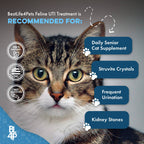 Cat Urinary and Kidney Support Tablets product image 7