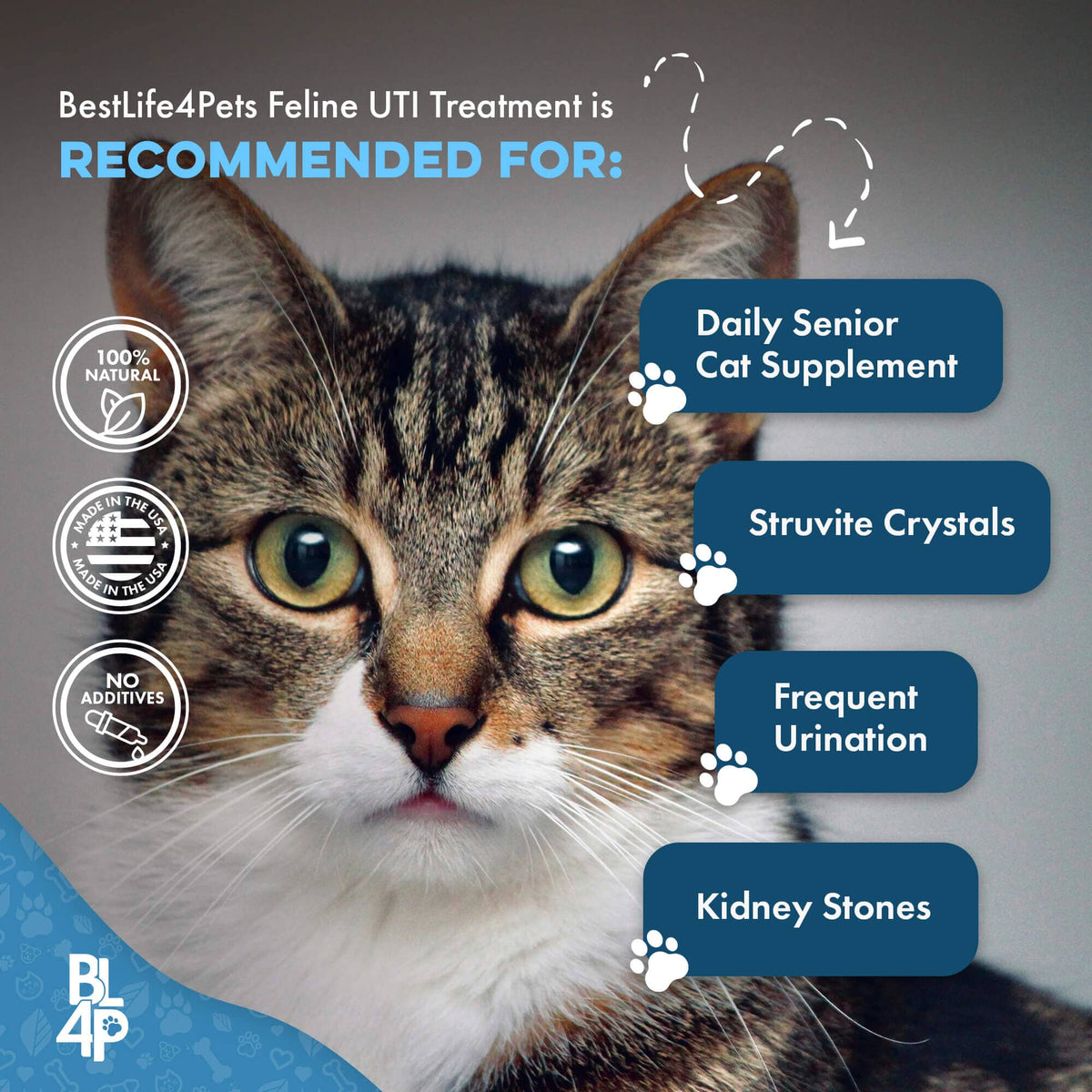 Cat Urinary and Kidney Support Tablets product image 7