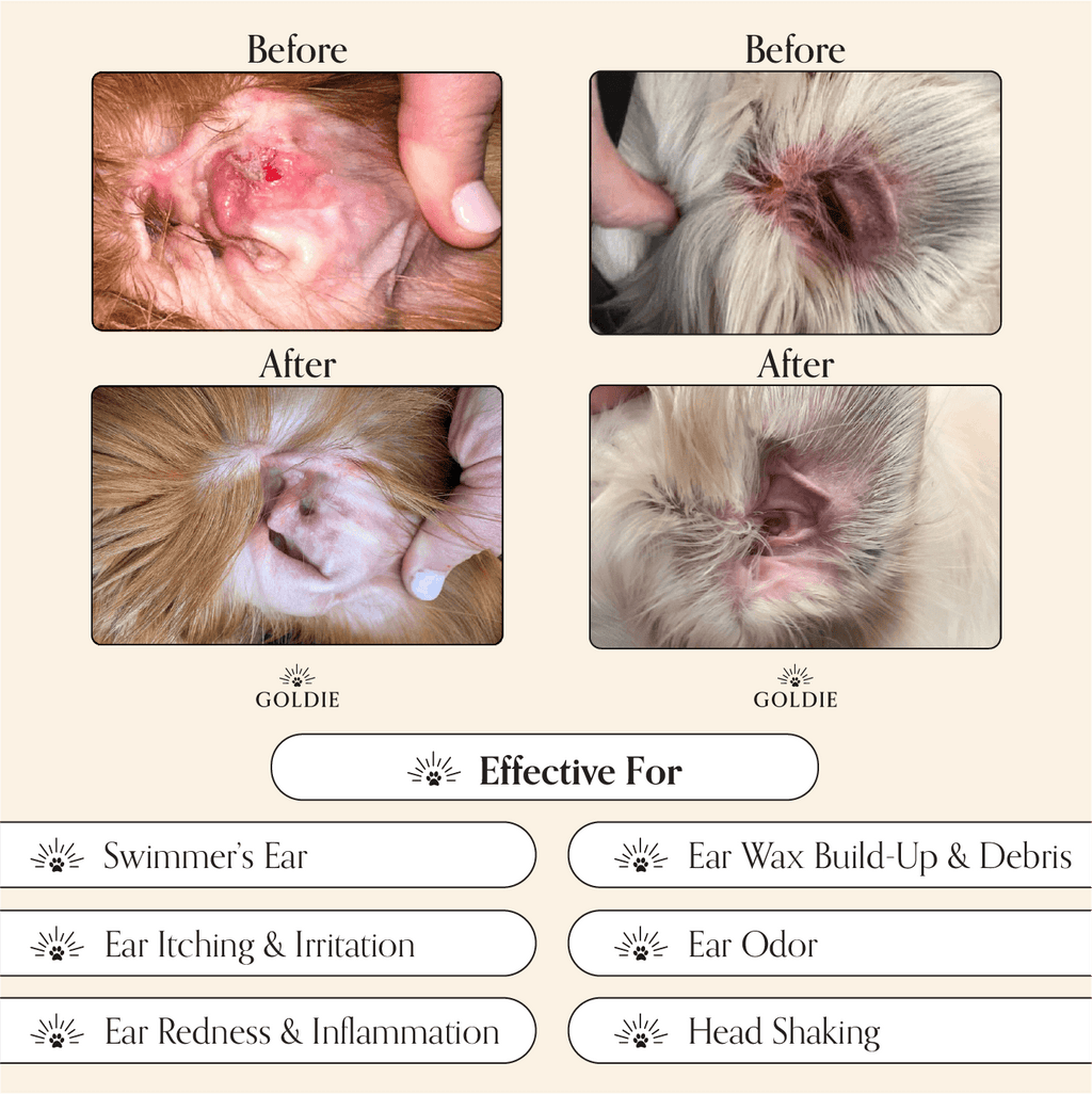 Dog Clean and Calm Care Set product image 7