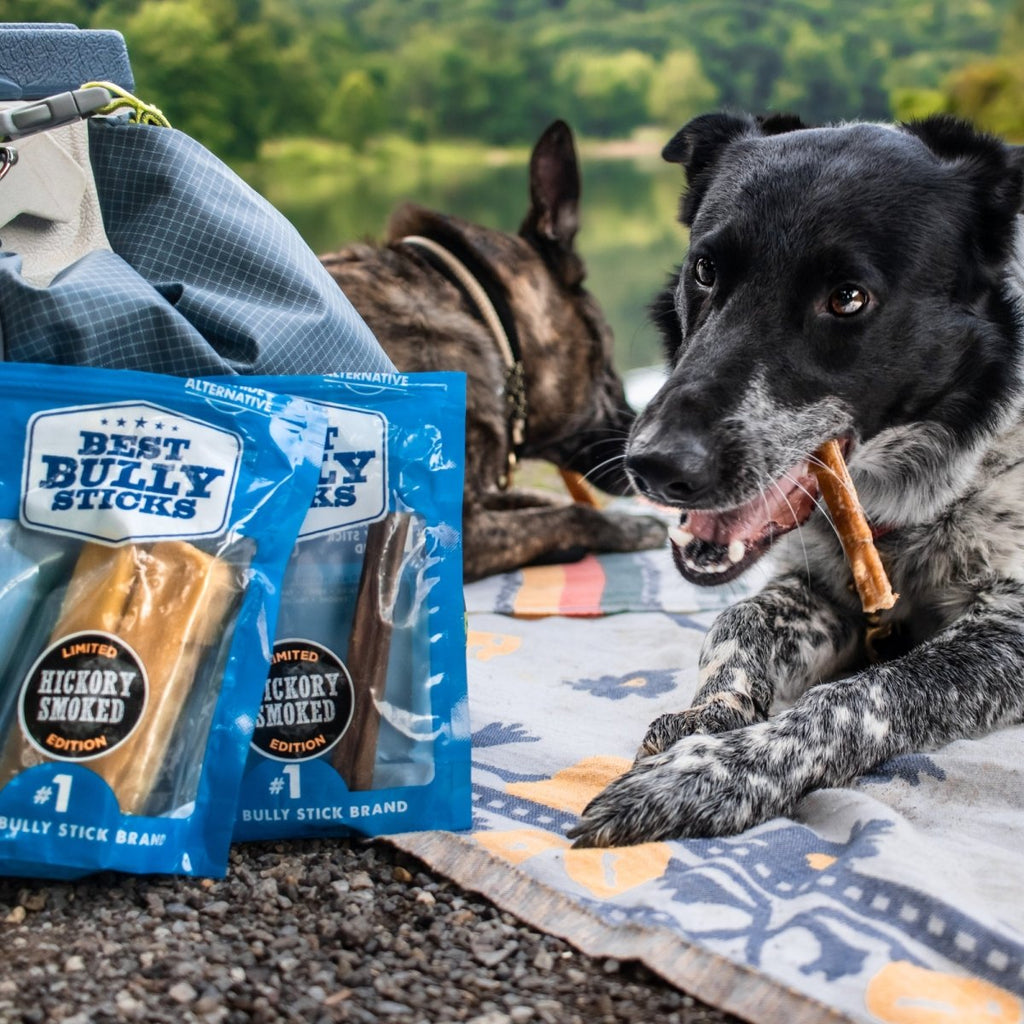 Hickory-Smoked Beef Bully Sticks product image 7