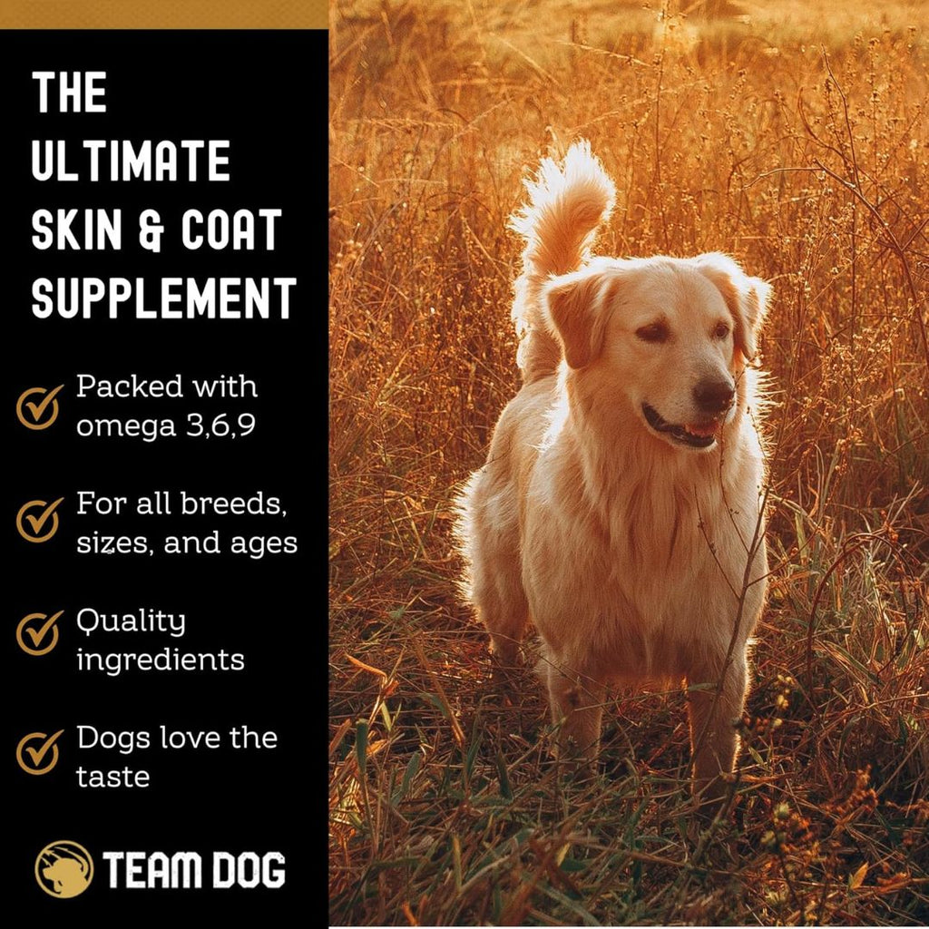 Dog Skin and Coat Supplement Soft Chews product image 7