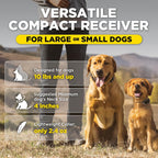 Dog Training Collar product image 7
