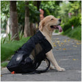 Dog Carrier Backpack product image 7