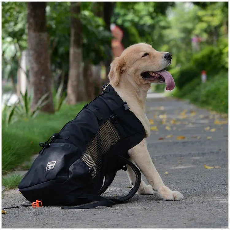 Dog Carrier Backpack product image 7