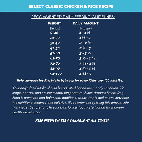 Dry Dog Food product image 7