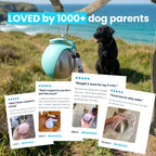 Dog Water Bottle product image 7