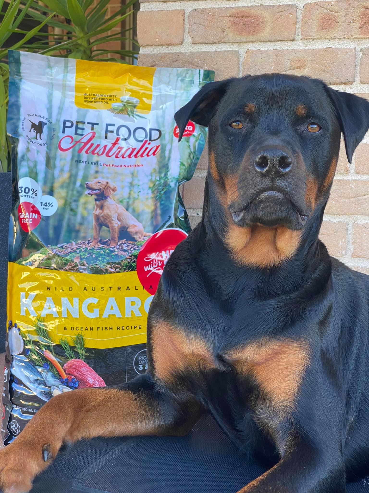 Kangaroo and Ocean Fish Dry Dog Food product image 7