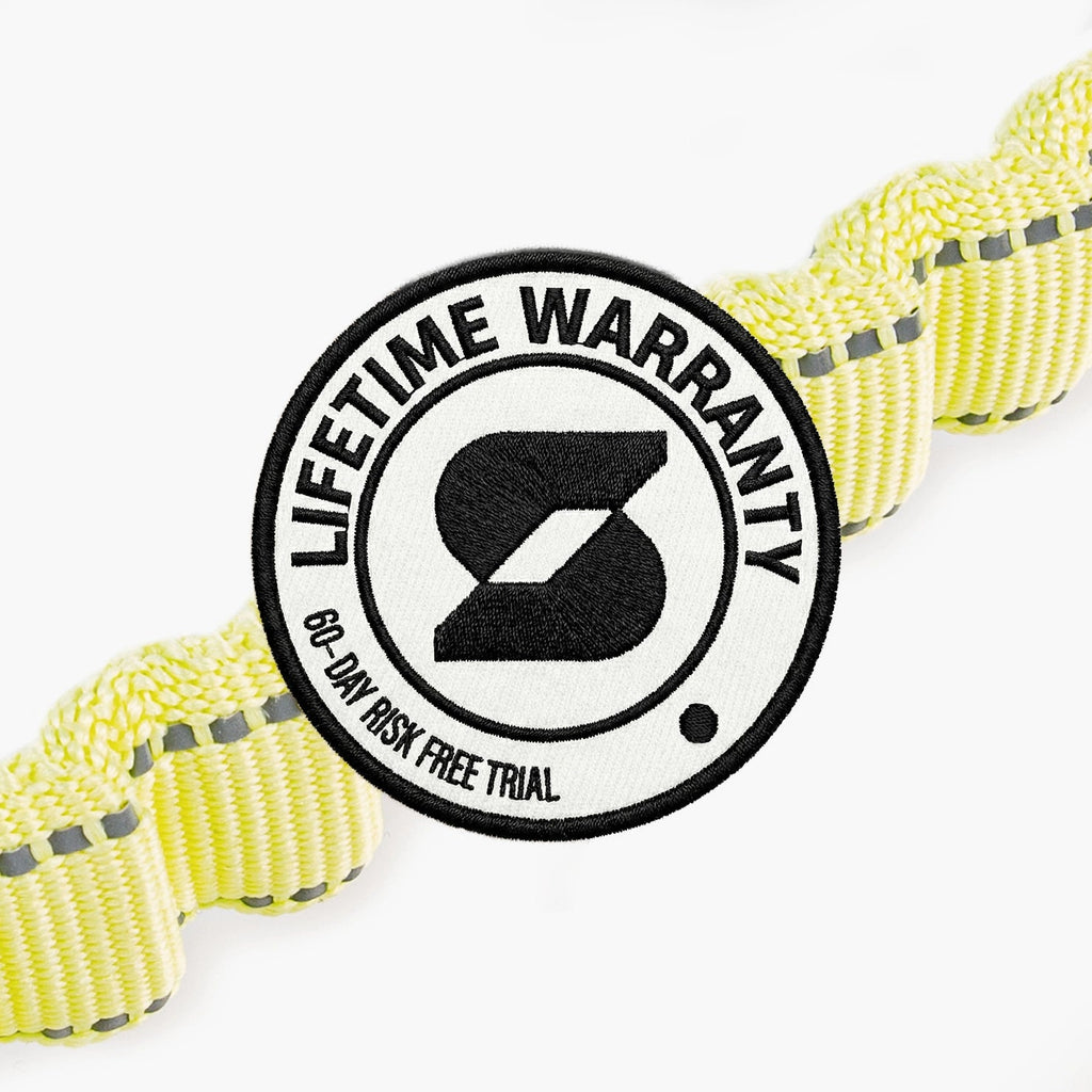 Bungee Dog Leash product image 7