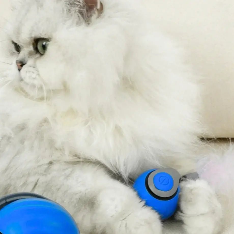 Interactive Cat Toy product image 7