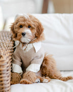 Dog Sweater product image 7