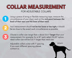 Martingale Dog Collar product image 7
