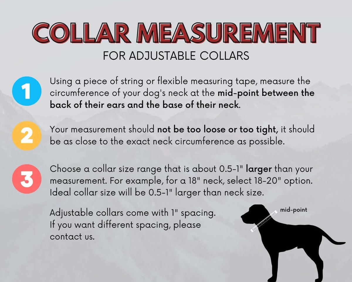 Martingale Dog Collar product image 7