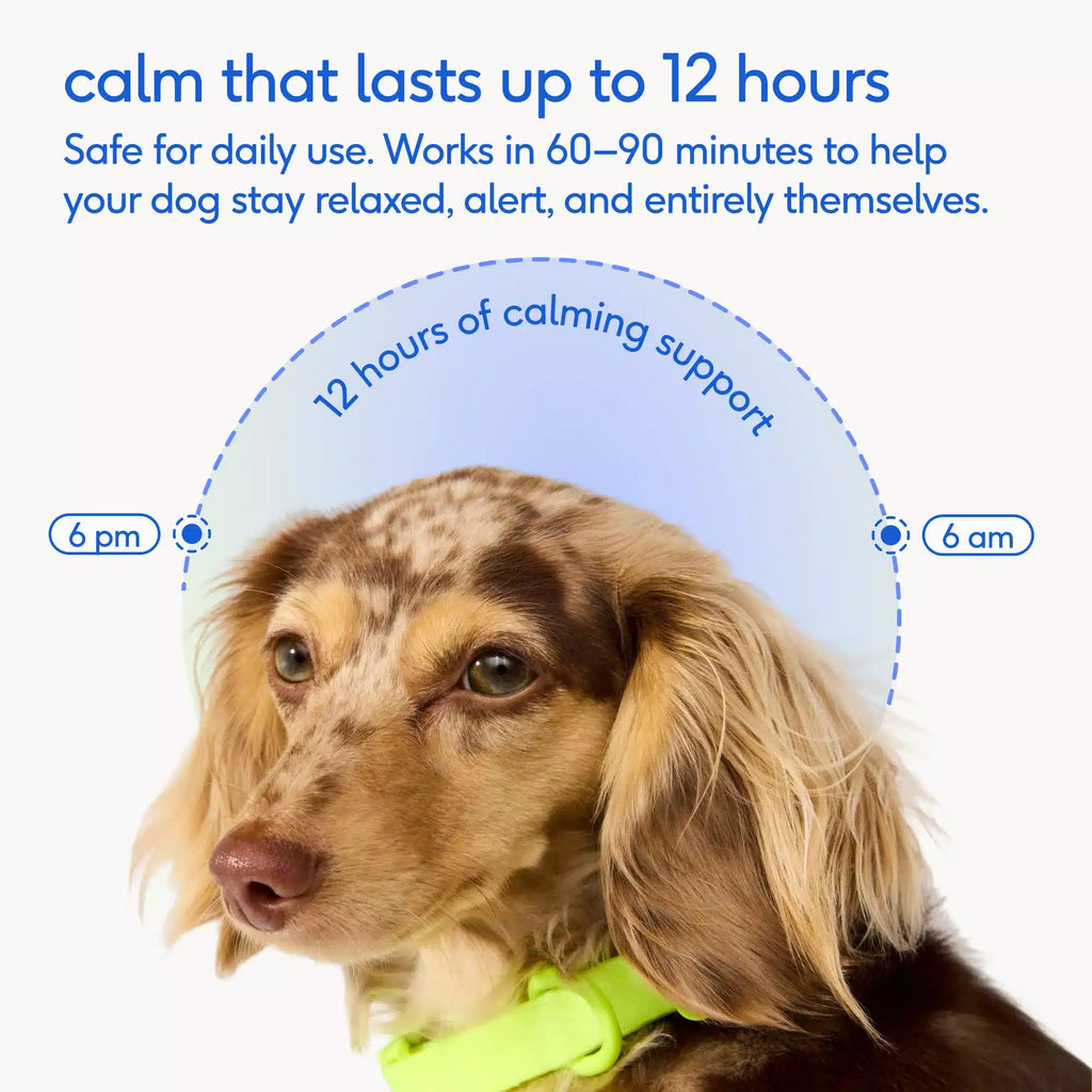 Dog Calming Chews product image 7