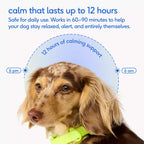Dog Calming Chews product image 7