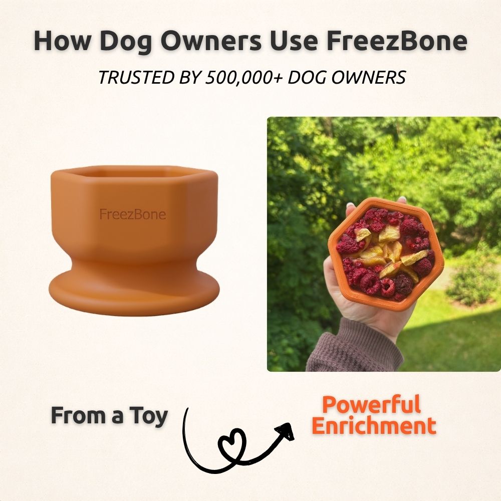 Fillable Dog Enrichment Toy product image 7