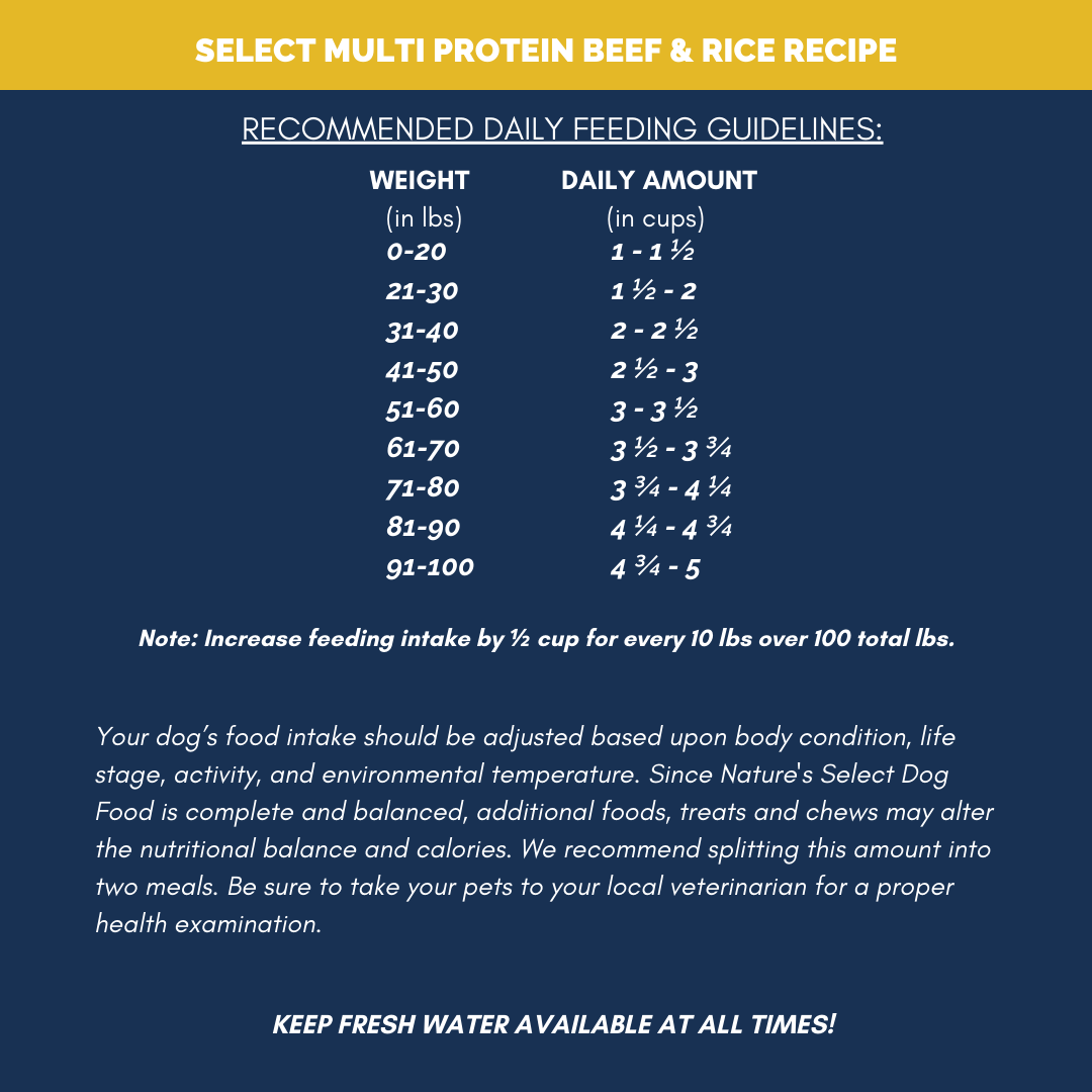 Dry Dog Food product image 7