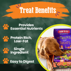 Halloween Dog Treat Box product image 7
