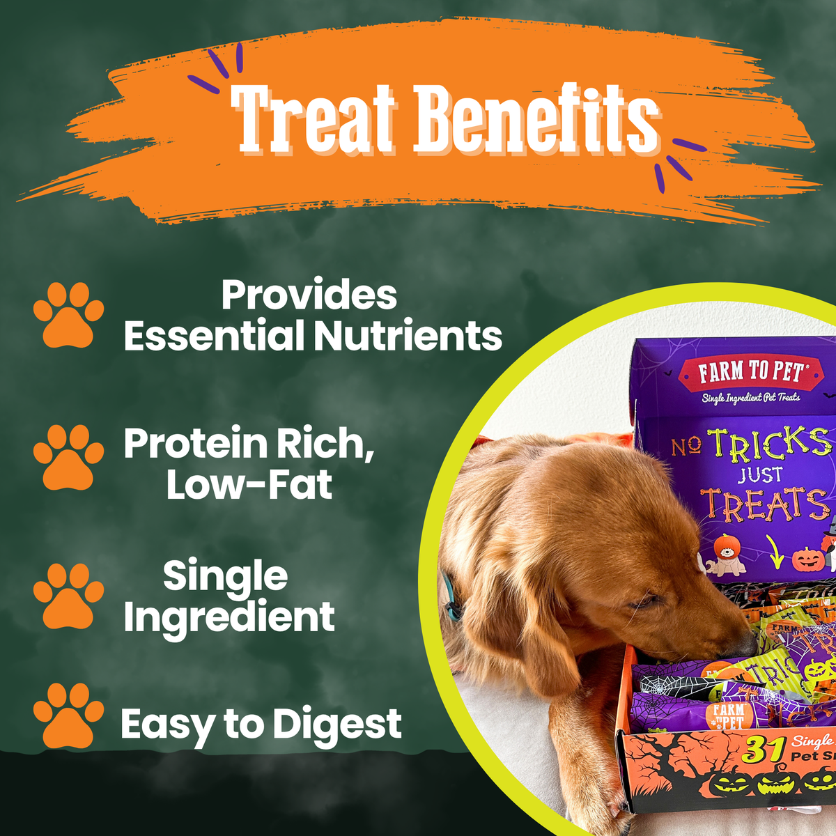 Halloween Dog Treat Box product image 7