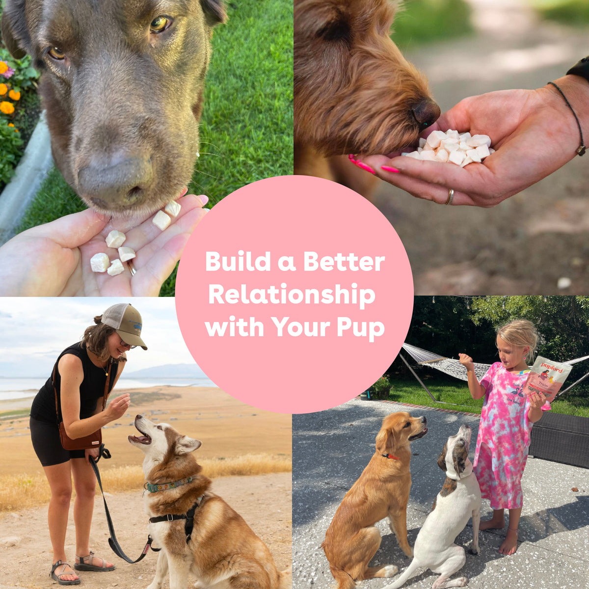 Freeze-Dried Dog Treats product image 7