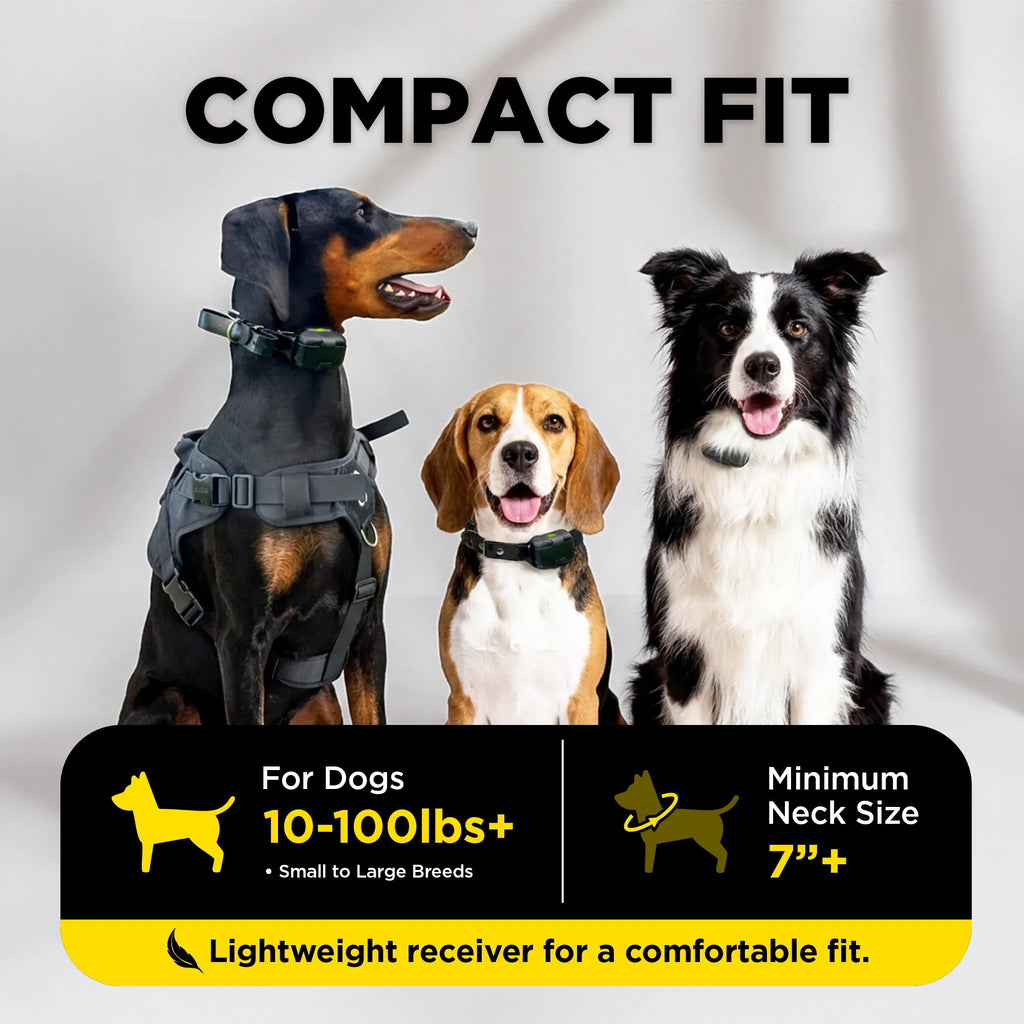Dog Training Collar product image 7