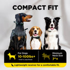 Dog Training Collar product image 7