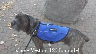 Emotional Support Dog Package product image 7