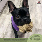 Dog Dental Chews product image 6