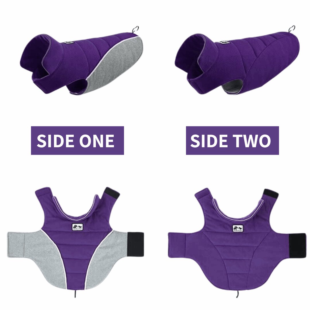 Dog Safety Vest product image 7