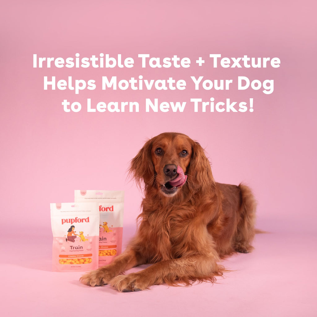 Dog Training Treat product image 7