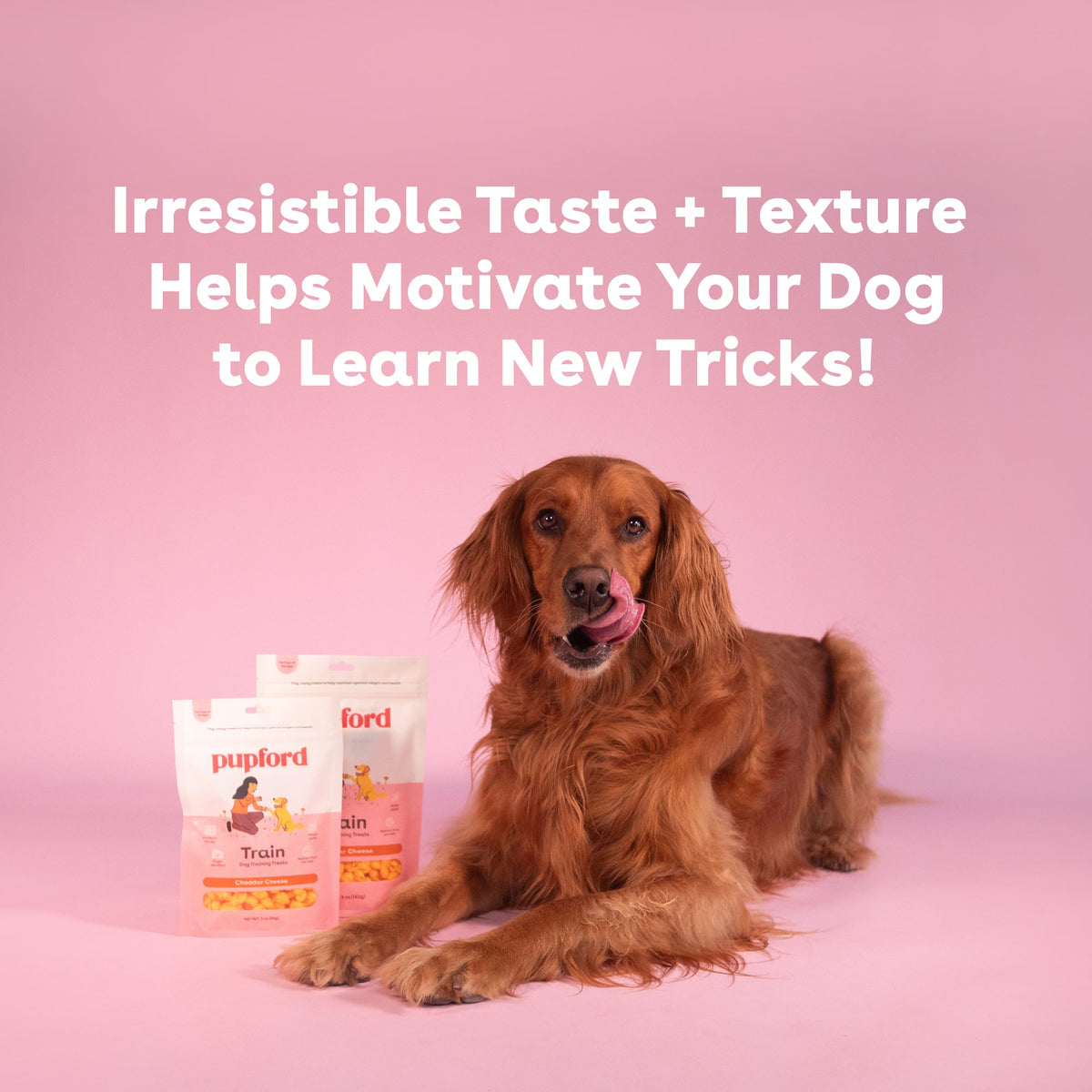 Dog Training Treat product image 7