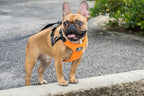Dog Car Harness product image 7