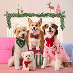 Dog Sweater product image 7