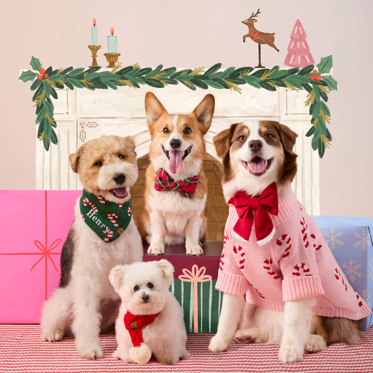 Dog Sweater product image 7