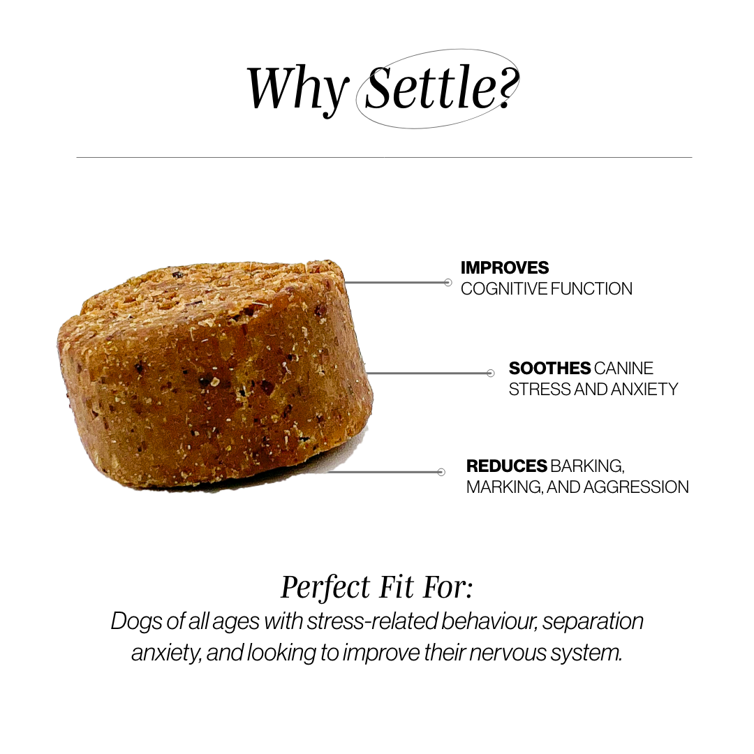 Dog Calming Soft Chews product image 7