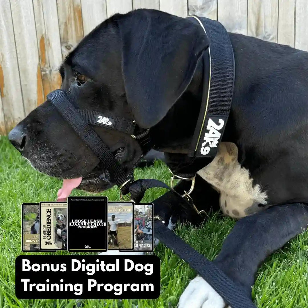 Dog Head Halter product image 7