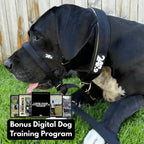 Dog Head Halter product image 7
