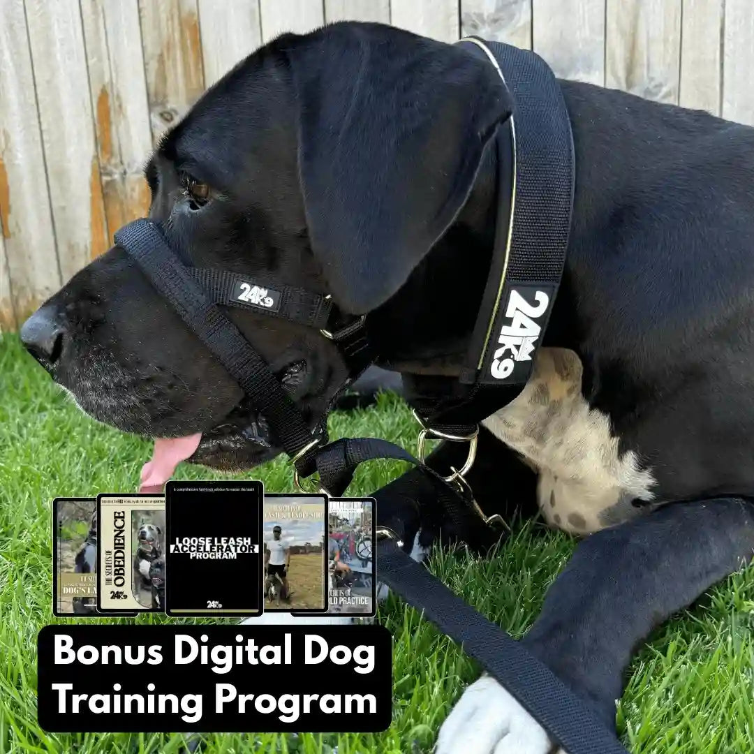 Dog Head Halter product image 7