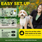No-Bark Dog Collar product image 7