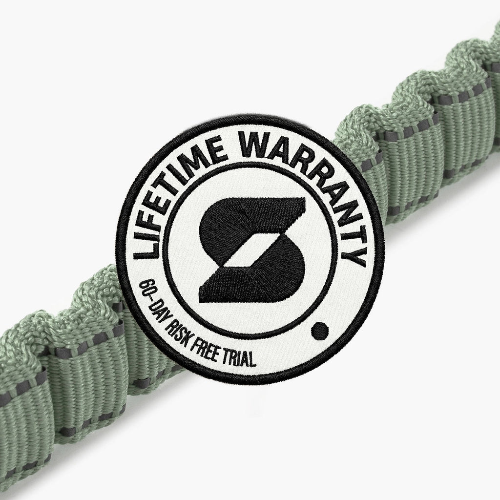 Bungee Dog Leash product image 7