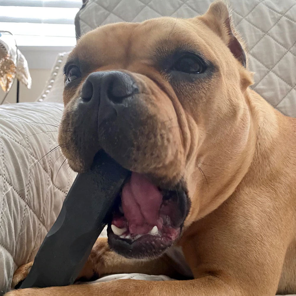 Solid Dog Chew Toy product image 7