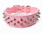 Dog Collar product image 7