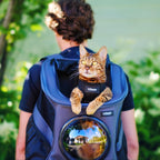 Large Pet Backpack Carrier product image 7