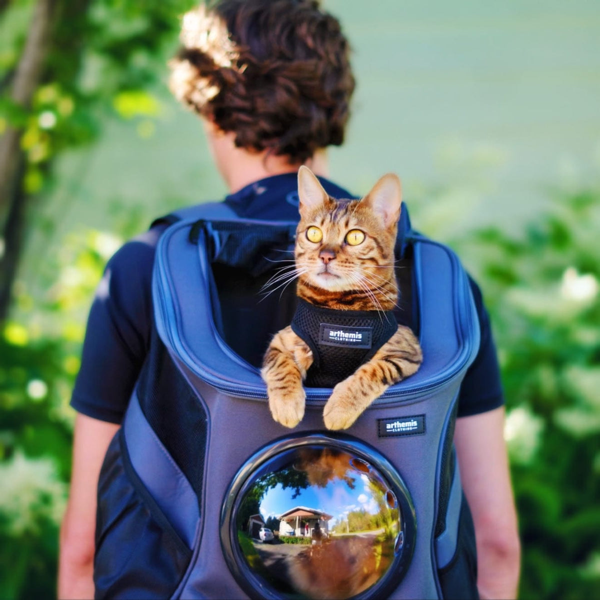 Large Pet Backpack Carrier product image 7